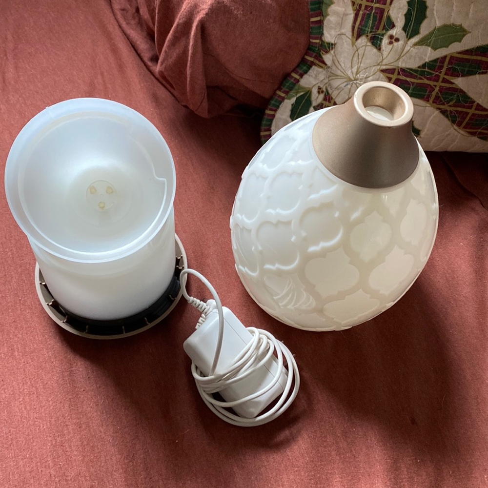 Desert Mist Diffuser - image 2